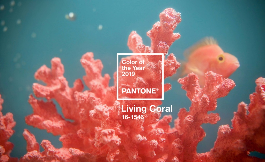 Коралловый — цвет 2019 года по версии Pantone