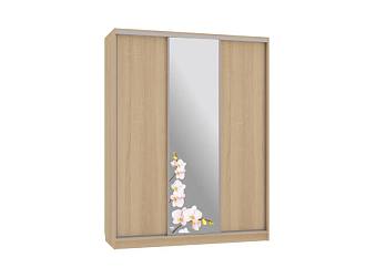 Шкаф-купе Бассо 1-600 орхидеи дуб сонома