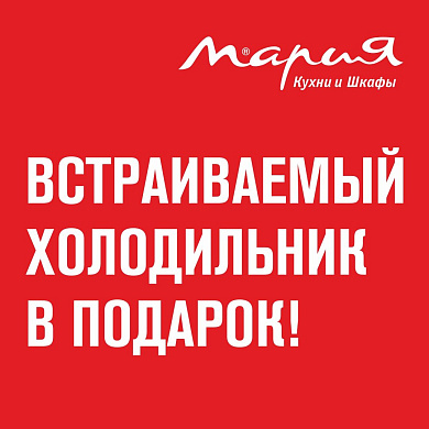 Встраиваемый холодильник в подарок!