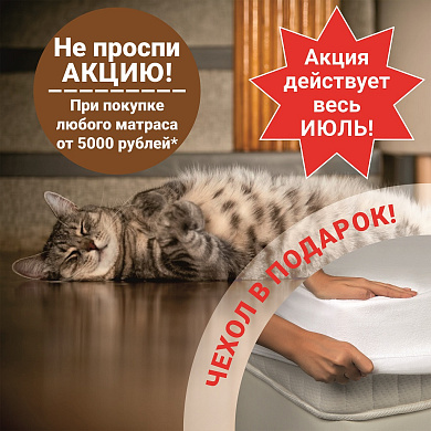 Чехол в подарок!