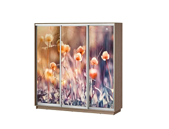 Шкаф-купе Лео 3-х дверный купальница / ясень шимо темный