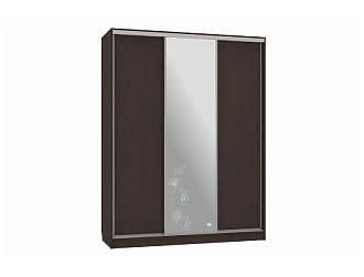 Шкаф-купе Бассо 1-600 Токио венге