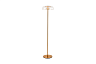 Торшер Brandy D300*H1350 LED*6.6W Ангстрем