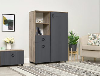 Шкаф двухдверный Вудхилл эндгрейн / графит