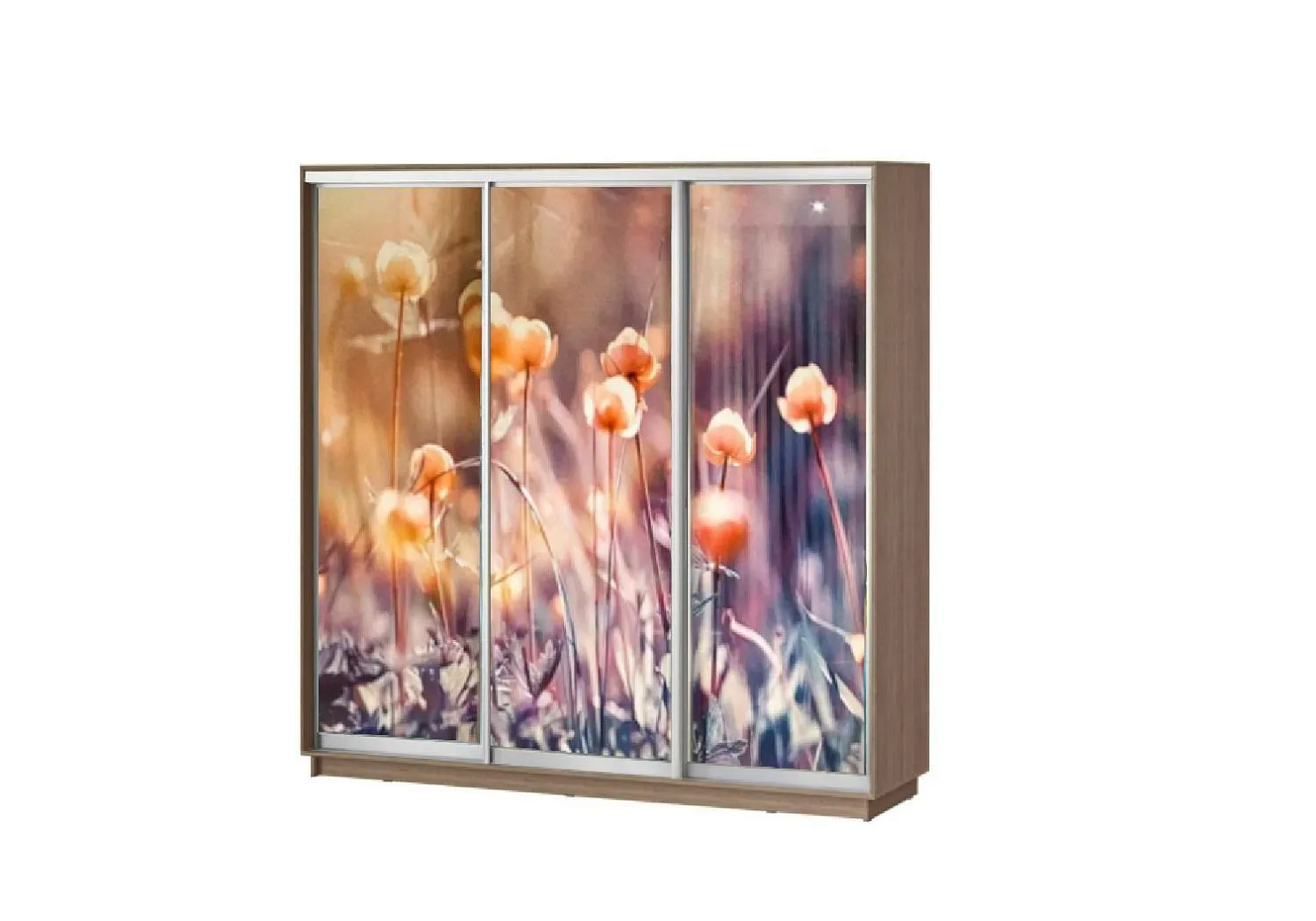 Шкаф-купе Лео 3-х дверный купальница / ясень шимо темный