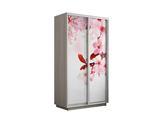 Шкаф-купе 2-х дверный Нонтон ясень шимо светлый / сакура