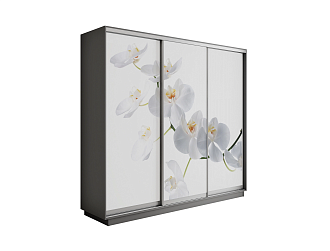 Шкаф-купе трехдверный Экспресс 2 серый диамант / фотопечать орхидея белая