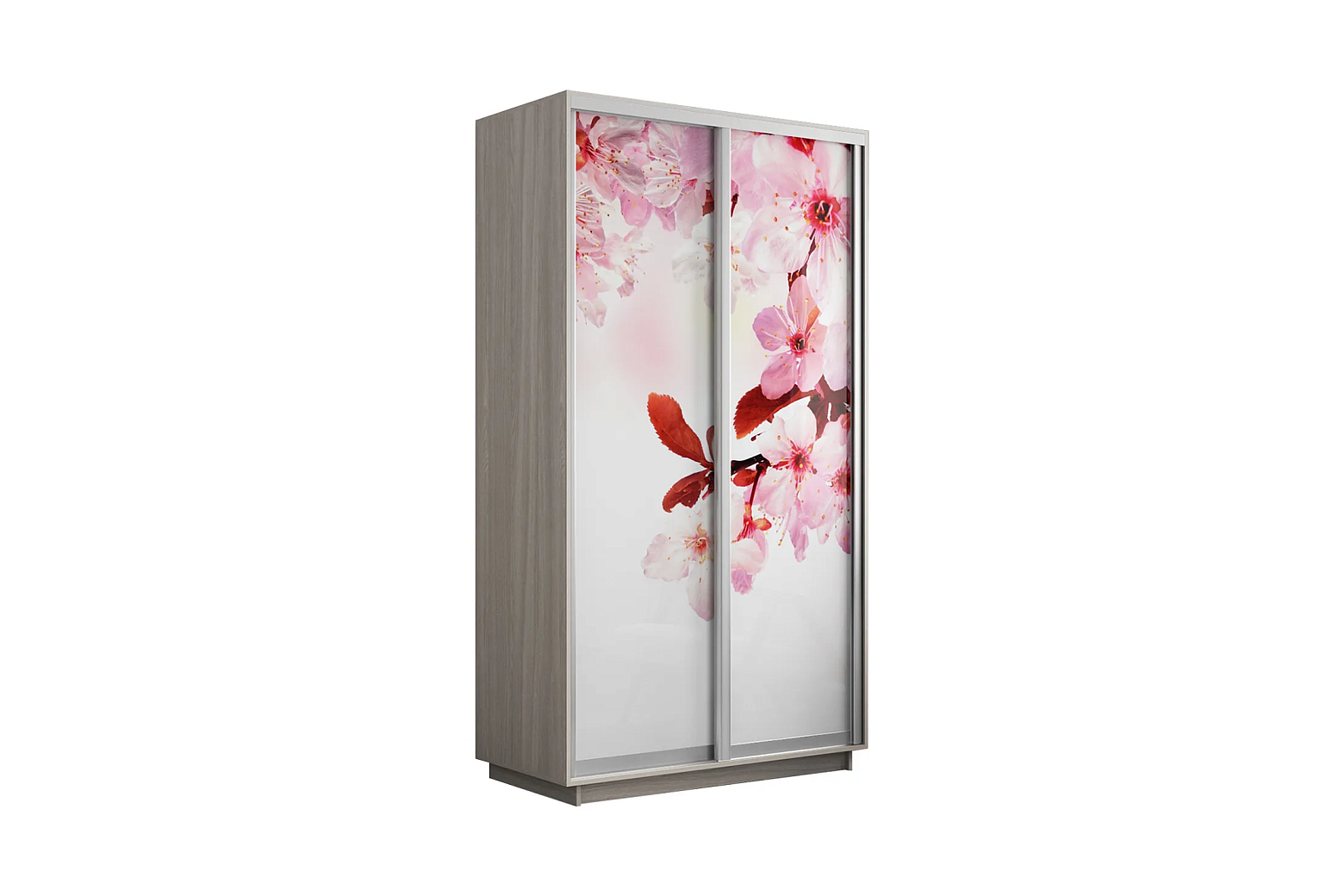 Шкаф-купе 2-х дверный Нонтон ясень шимо светлый / сакура
