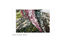 Ковер ALINA VILLAGE 160*230 Home Collection
