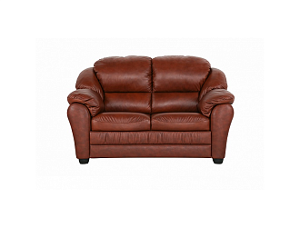 Диван Берг 2 р, Коричневый, Кожа Madras Eichel Home Collection