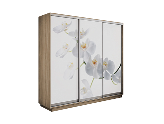 Шкаф-купе трехдверный Экспресс 2 дуб сонома / фотопечать орхидея белая