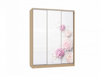 Шкаф-купе Бассо 7-600 17 дуб сонома