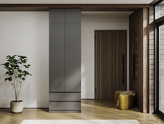 Шкаф 2-х створчатый с ящиками Скайвуд с антресолью графит серый