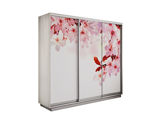 Шкаф-купе трехдверный Экспресс 2 ясень анкор светлый / фотопечать сакура