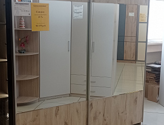 Шкаф купе (раздвижная система Hettich - верхнеподвесная, производитель Германия).