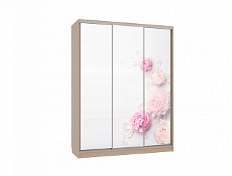 Шкаф-купе Бассо 7-600 17 дуб млечный